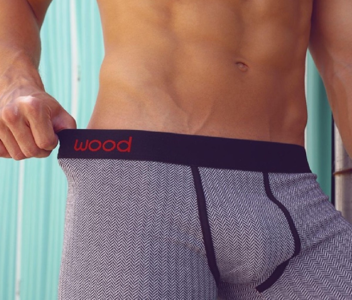 Torso of man in a pair of blue and off-blue Wood Underwear®