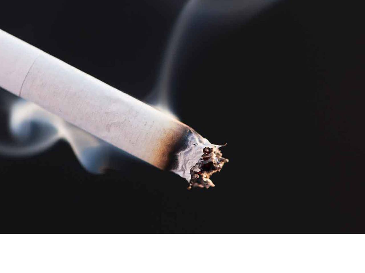 grind tobacco replacement Amazon.com : GRINDS Coffee Pouches | 6 Cans of Cinnamon Whiskey | Tobacco  Free, Nicotine Free Healthy Alternative | 18 Pouches Per Can