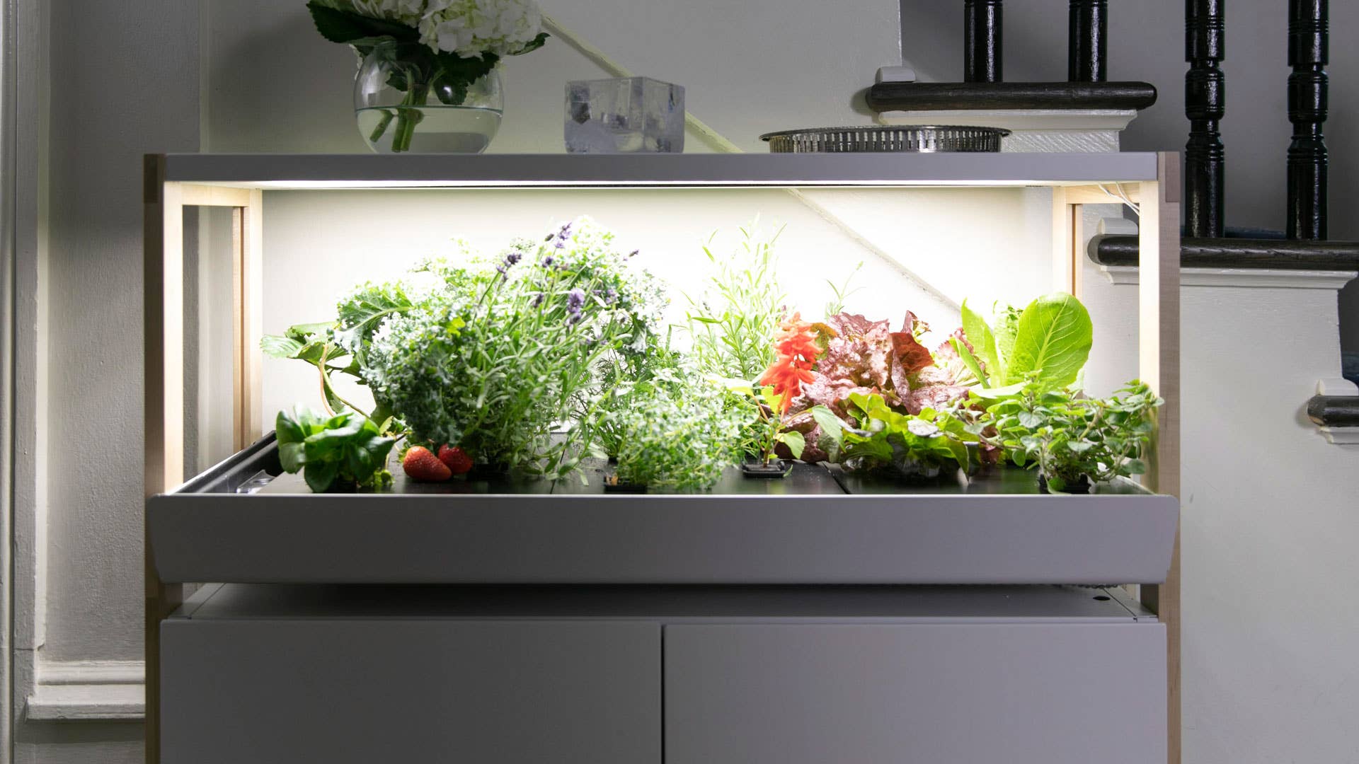 This Indoor Garden System Is the Perfect Solution for All Gardeners - Men's  Journal