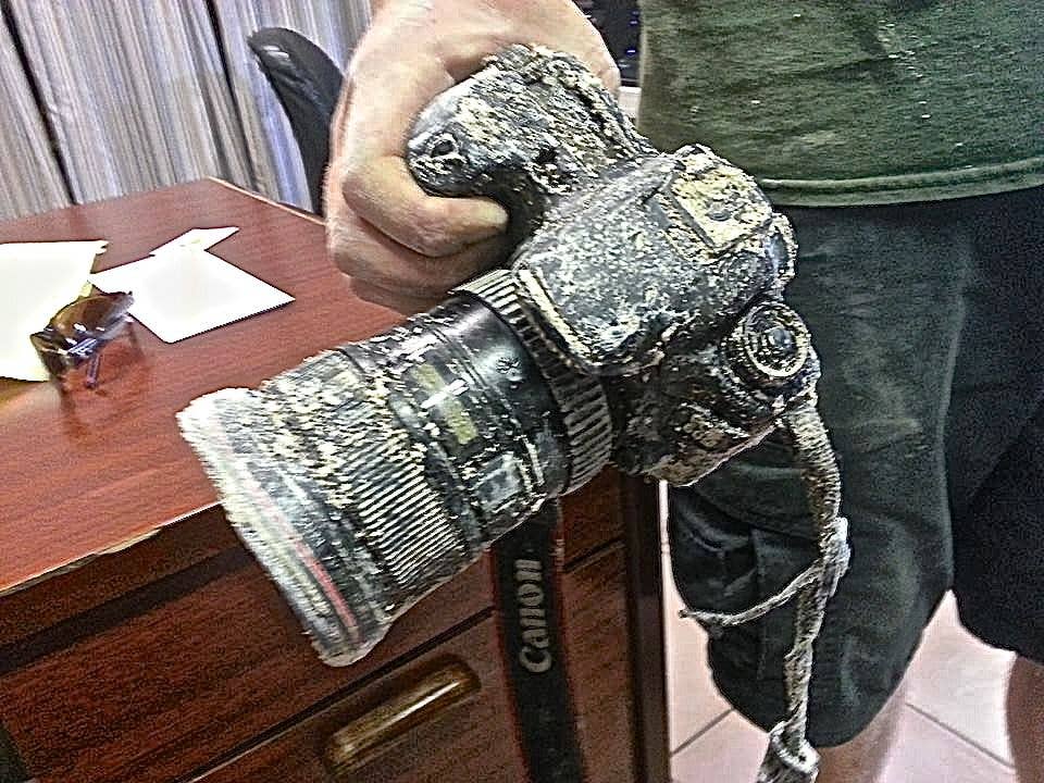 Camera alligator snatched from photographer found eight months later ...