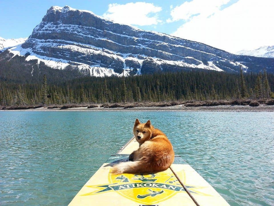 Mike Ranta ends canoe journey across Canada - Men's Journal