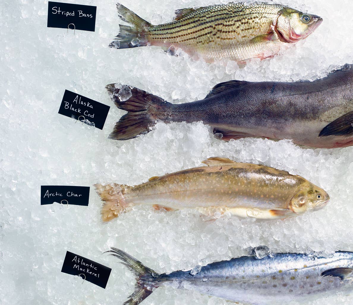 Meiller Fish The Best Fish to Buy at Your Supermarket - Men's Journal