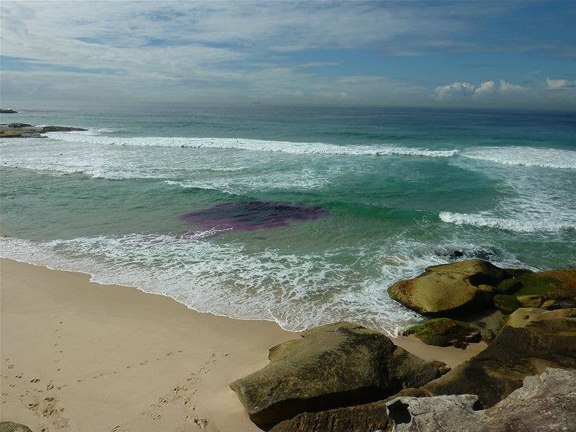 New study shines light on surviving riptides - Men's Journal