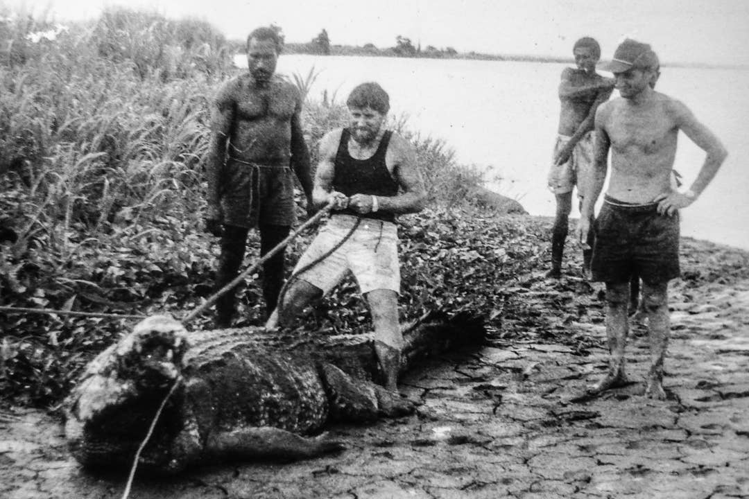 Largest crocodile in captivity shown in photos - Men's Journal
