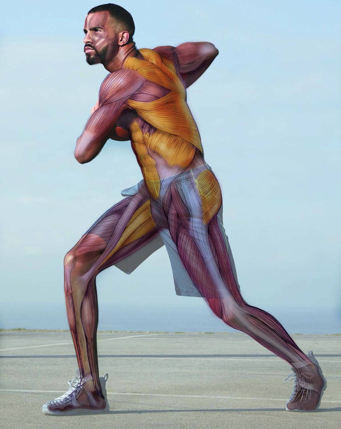 Muscles Making Up Core The Muscles That Actually Make Up Your Core - Men's Journal