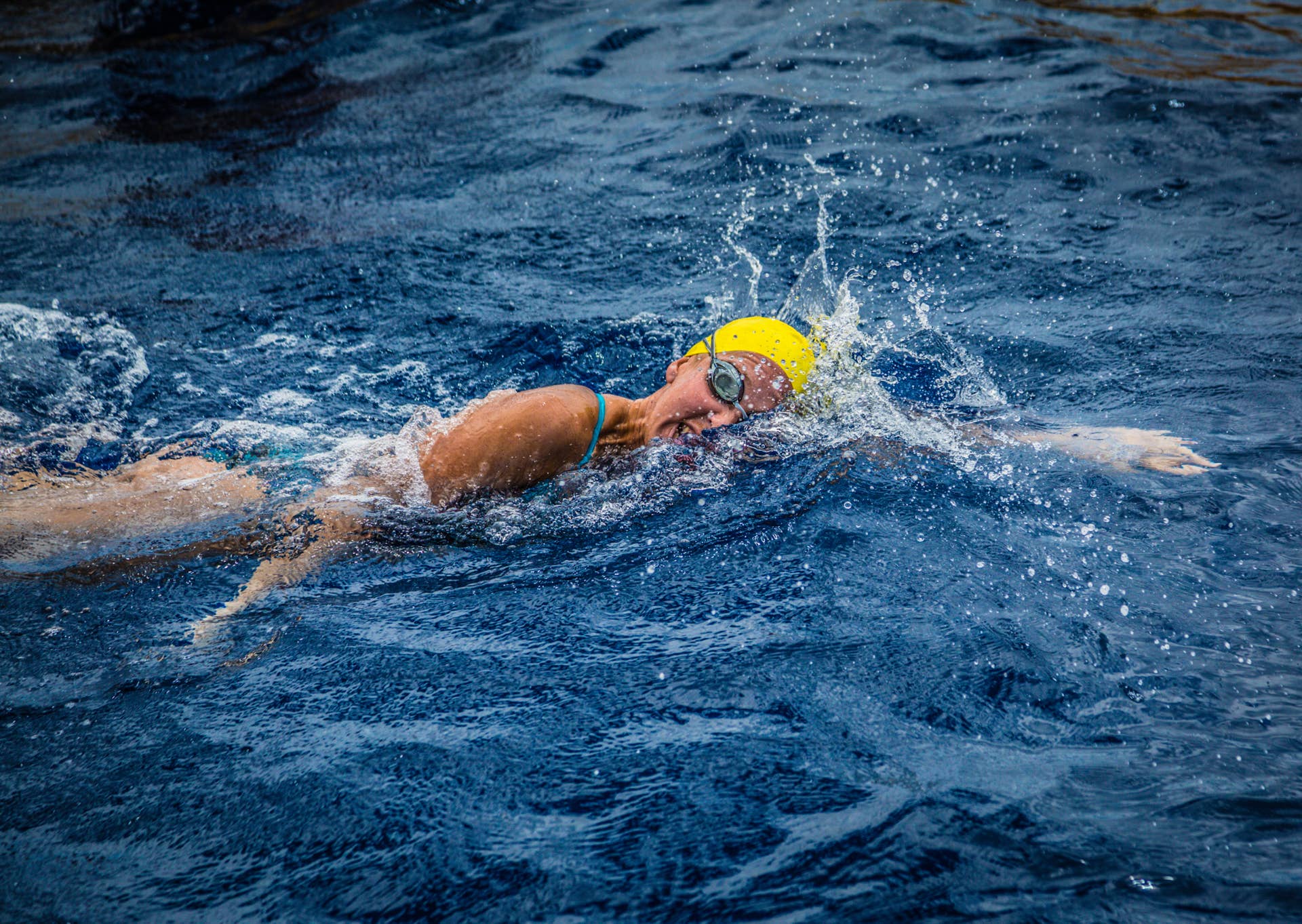 Tiger shark approaches swimmer on record swim between Hawaiian Islands ...