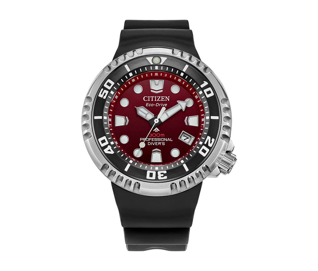 Promaster 300 Citizen Eco-Drive Promaster Professional Diver 300 m Watch - Men's Journal