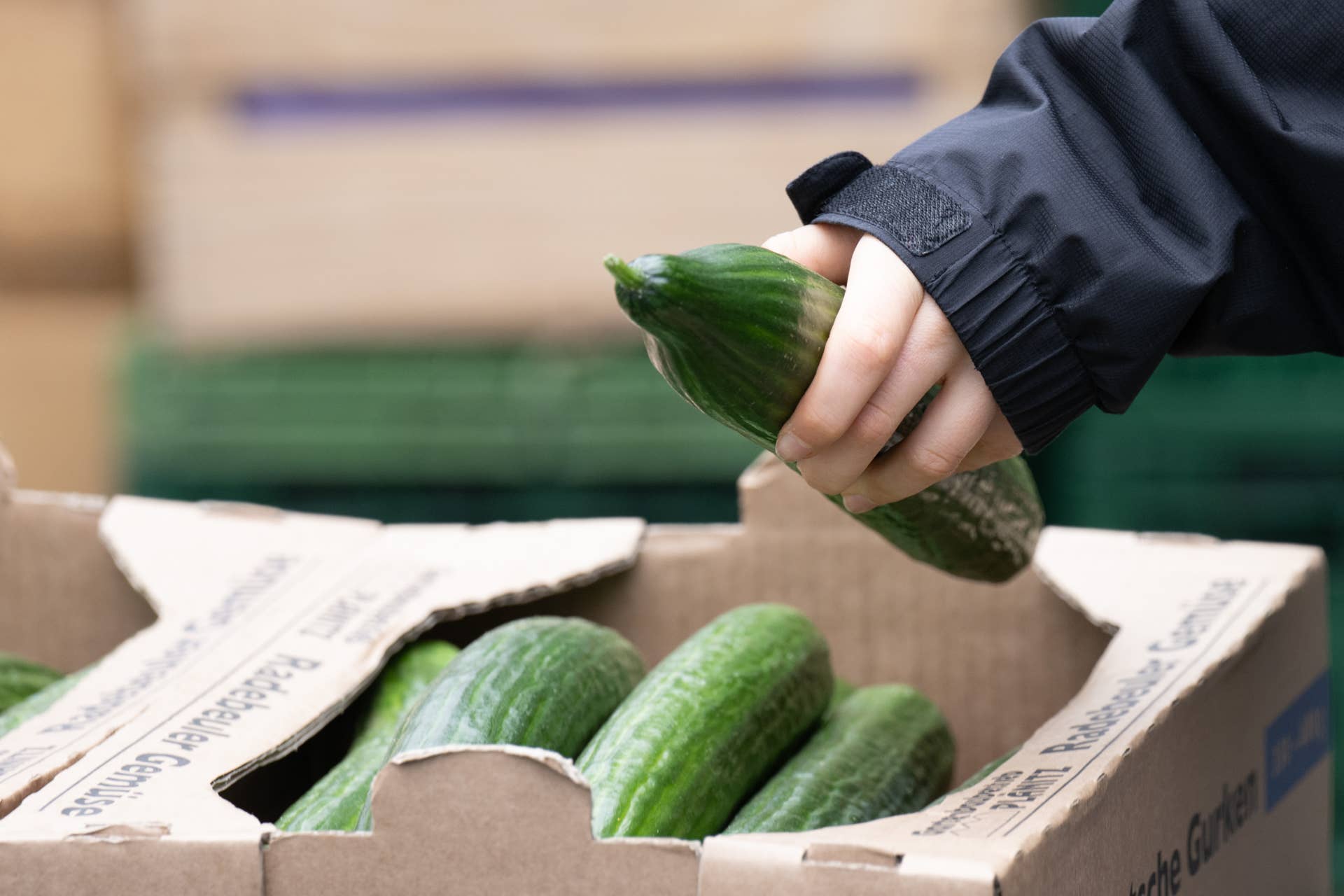 Salmonella Outbreak Linked to Cucumbers Spreads to 18 States - Men's ...