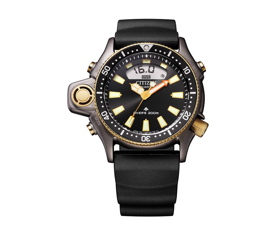 Citizen Promaster Aqualand 40th Anniversary Dive Watch - Men's Journal