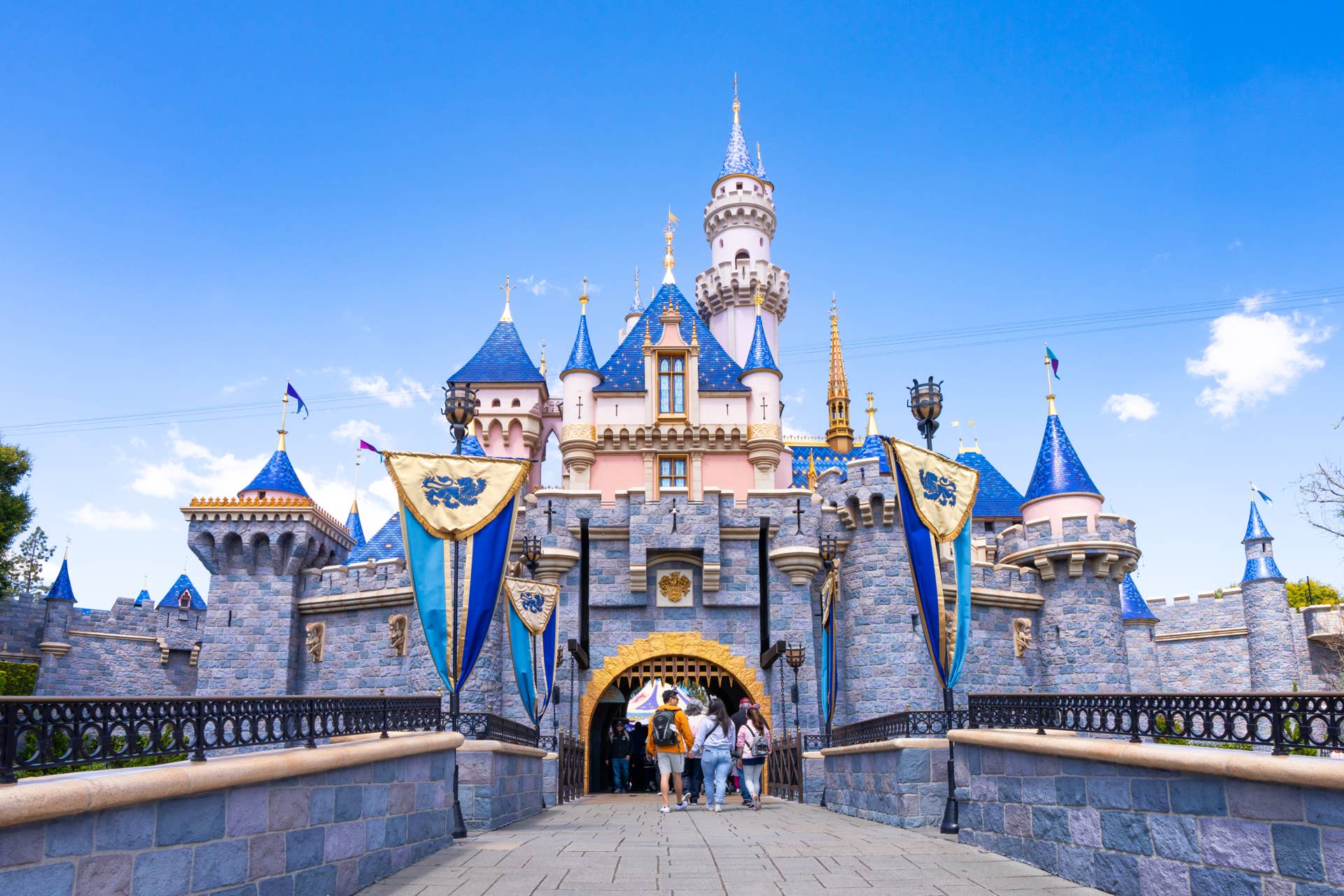 Disneyland Announces Special Tribute for 70th Anniversary - Men's