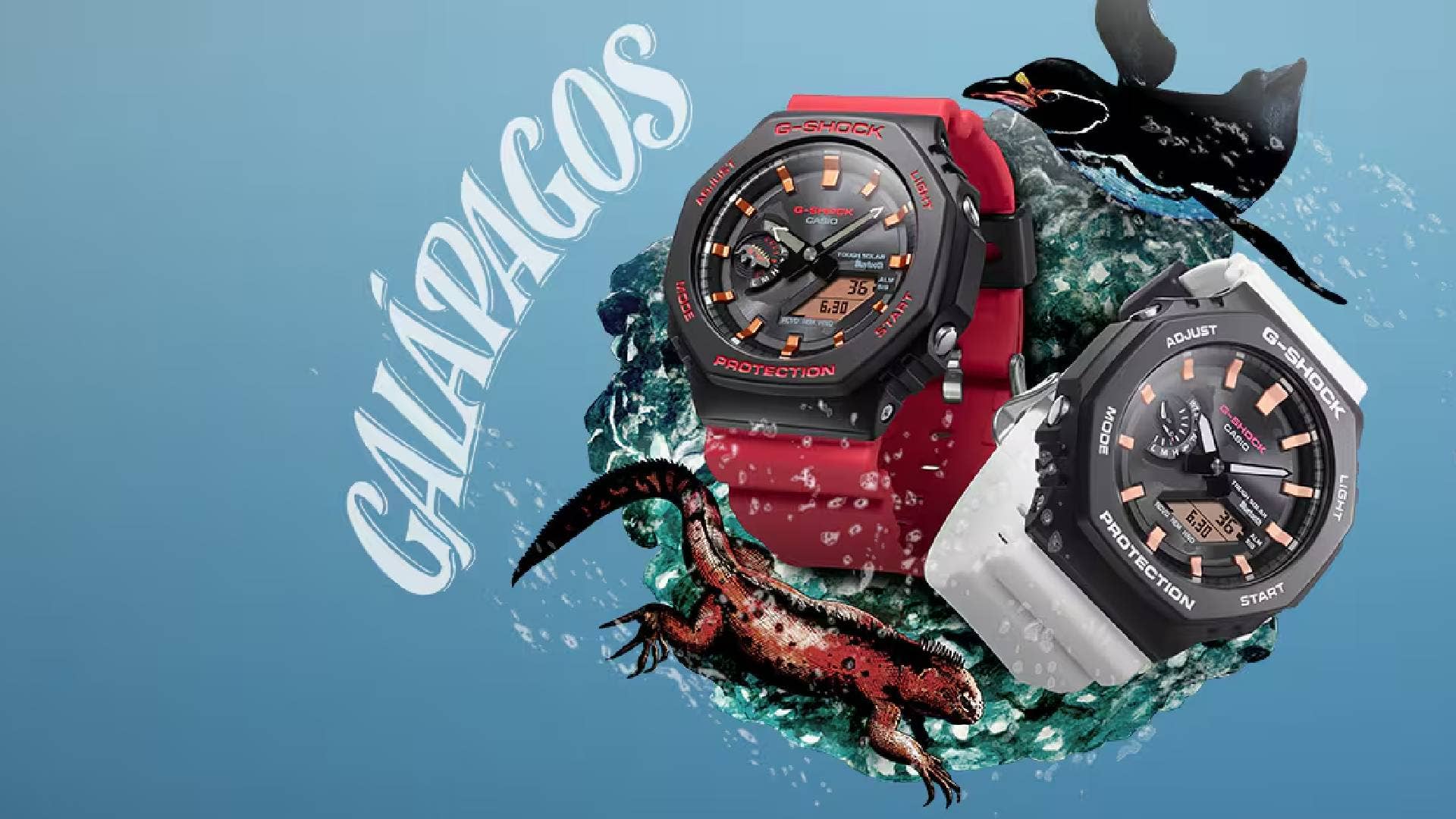 く*ま様 G-SHOCK Charles Darwin Foundationコラ G-SHOCK X Charles Darwin Foundation Galapagos Watches - Men's Journal