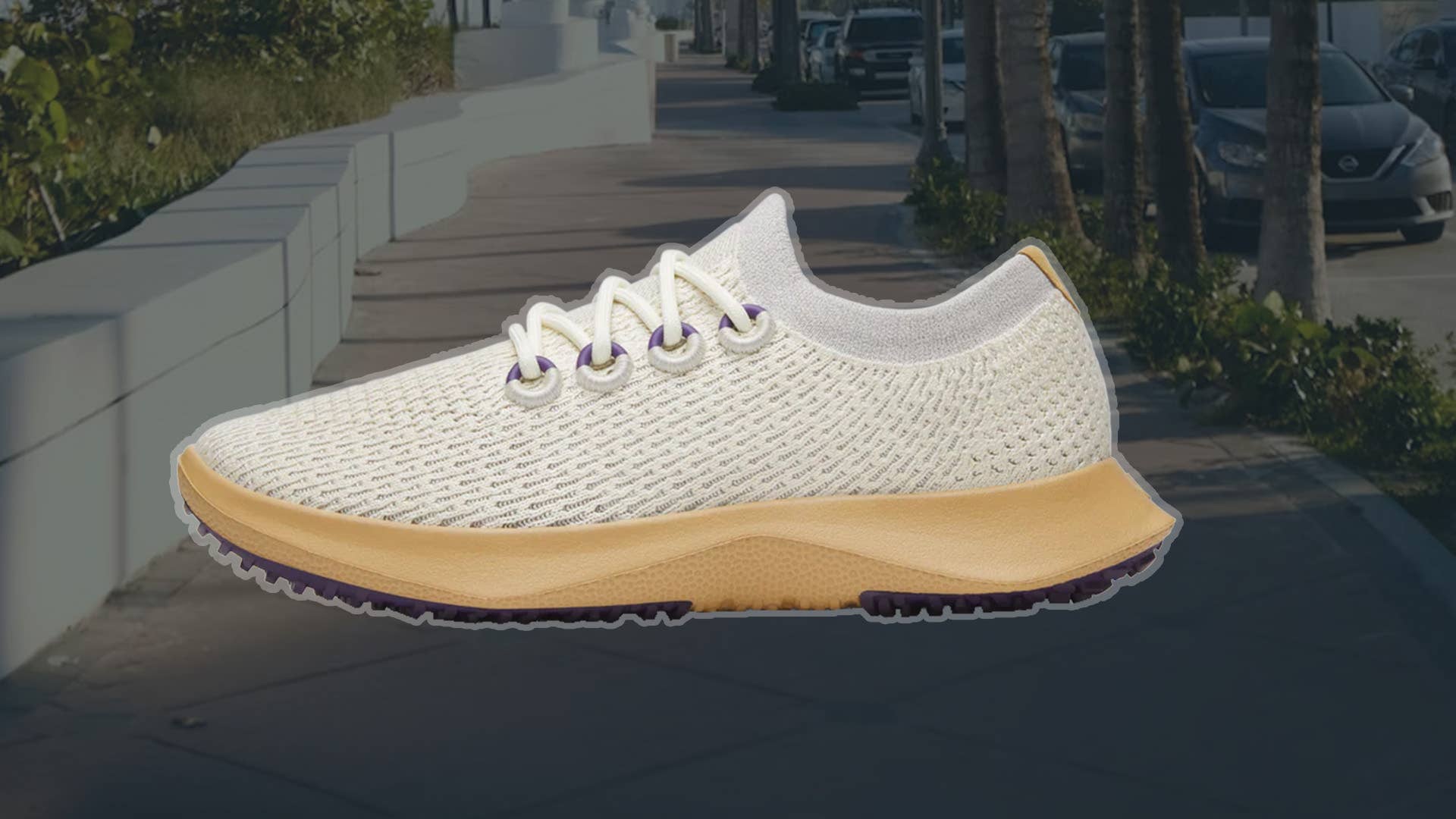 Allbirds’ Bestselling Tree Dasher 2s Are on Sale for $67 - Men's Journal