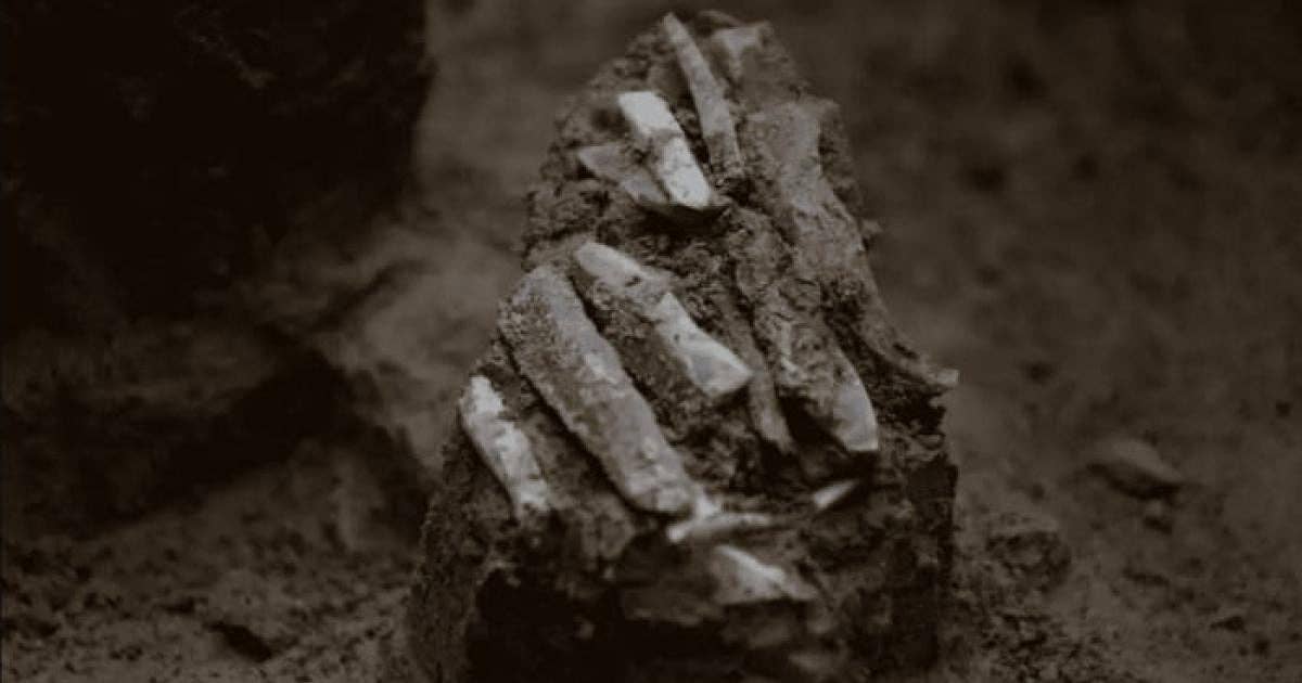 30,000-Year-Old Tool Kit Offers Glimpse of Ice Age Hunter-Gatherers ...