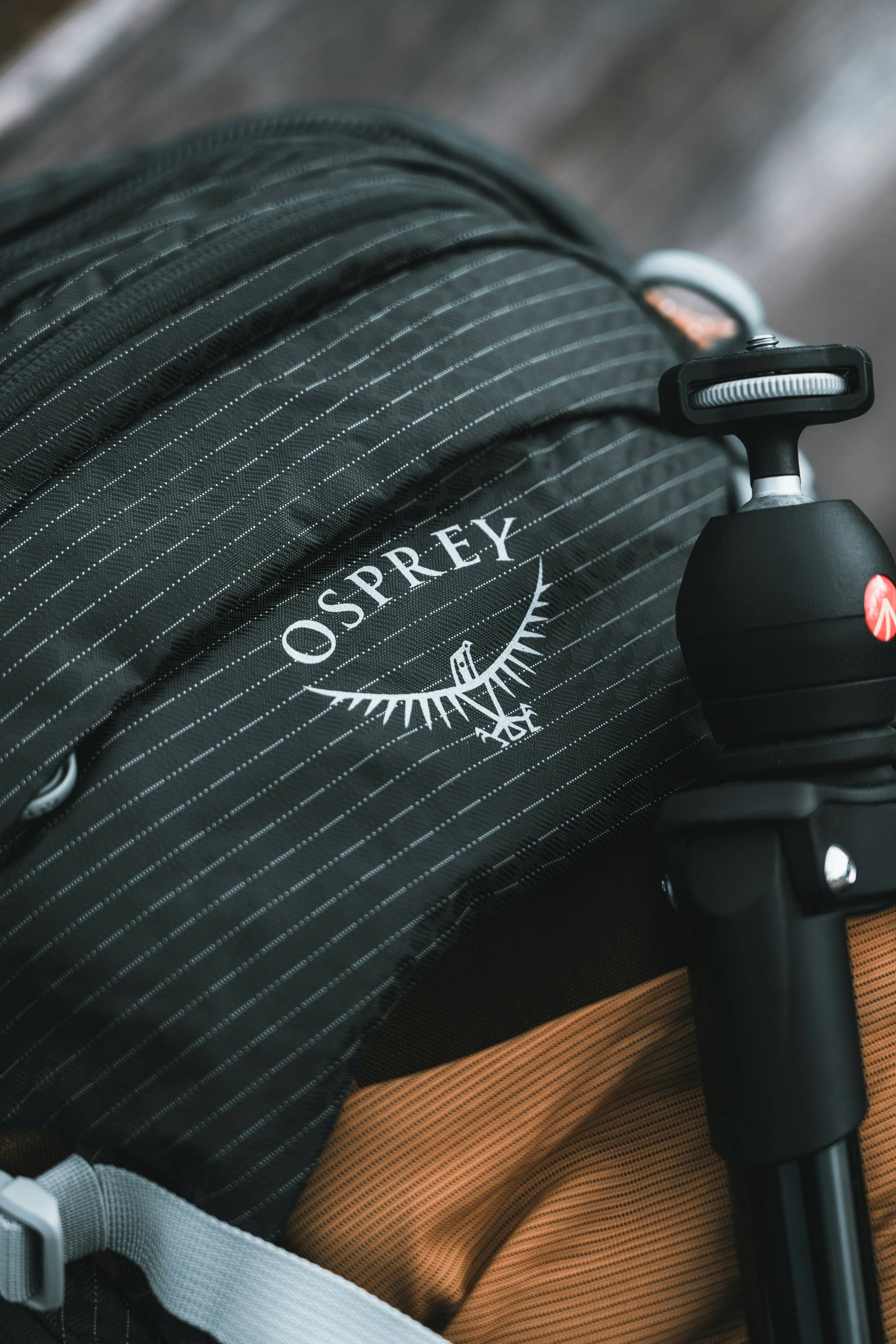 Osprey's Daylite Plus Commuter Backpack Is on Sale for $60