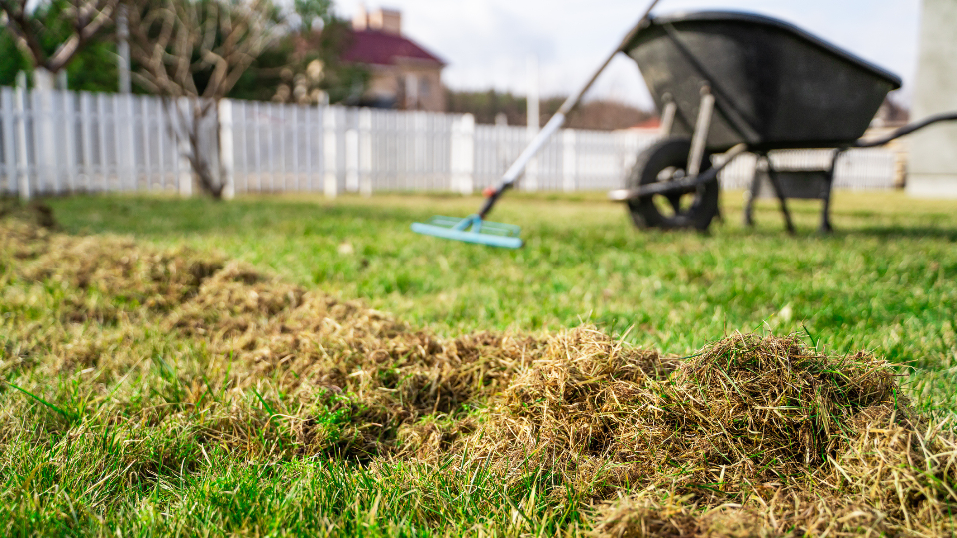 What Is Dethatching and How to Dethatch Your Lawn - Men's Journal