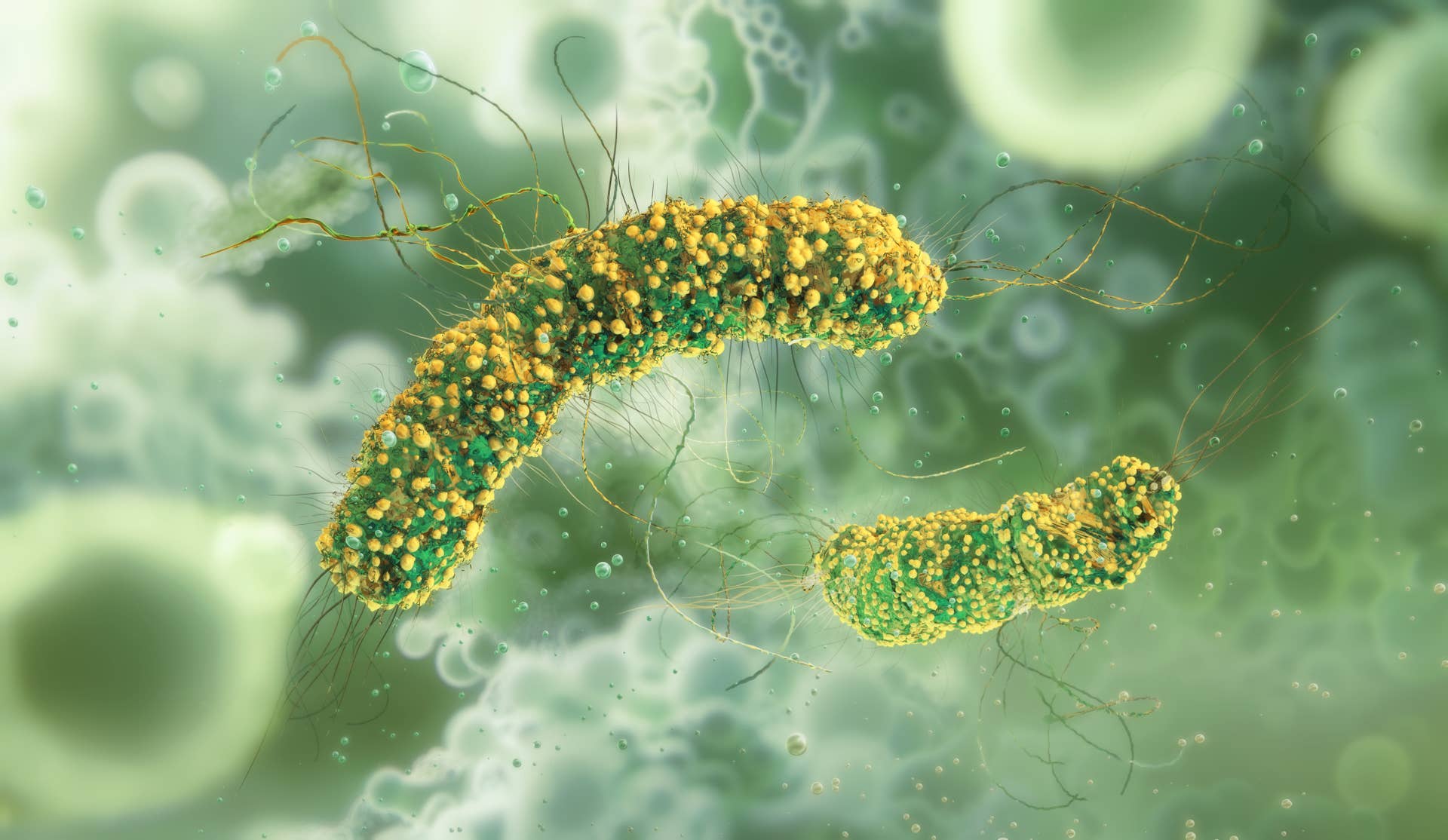Deadly Listeria Outbreak Expands: Pasta Meals Pulled from Shelves in 15 ...
