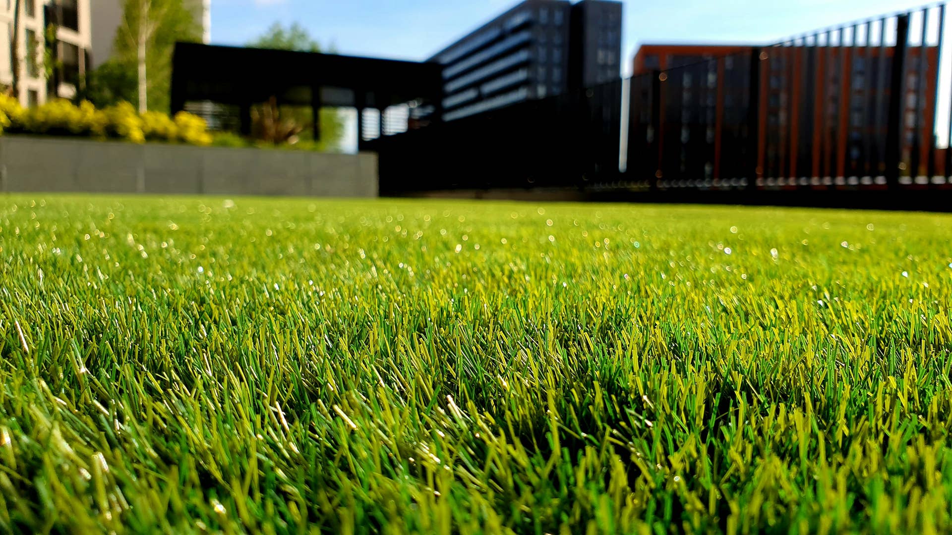 Here's When To Start Your Spring Grass Seeding - Men's Journal