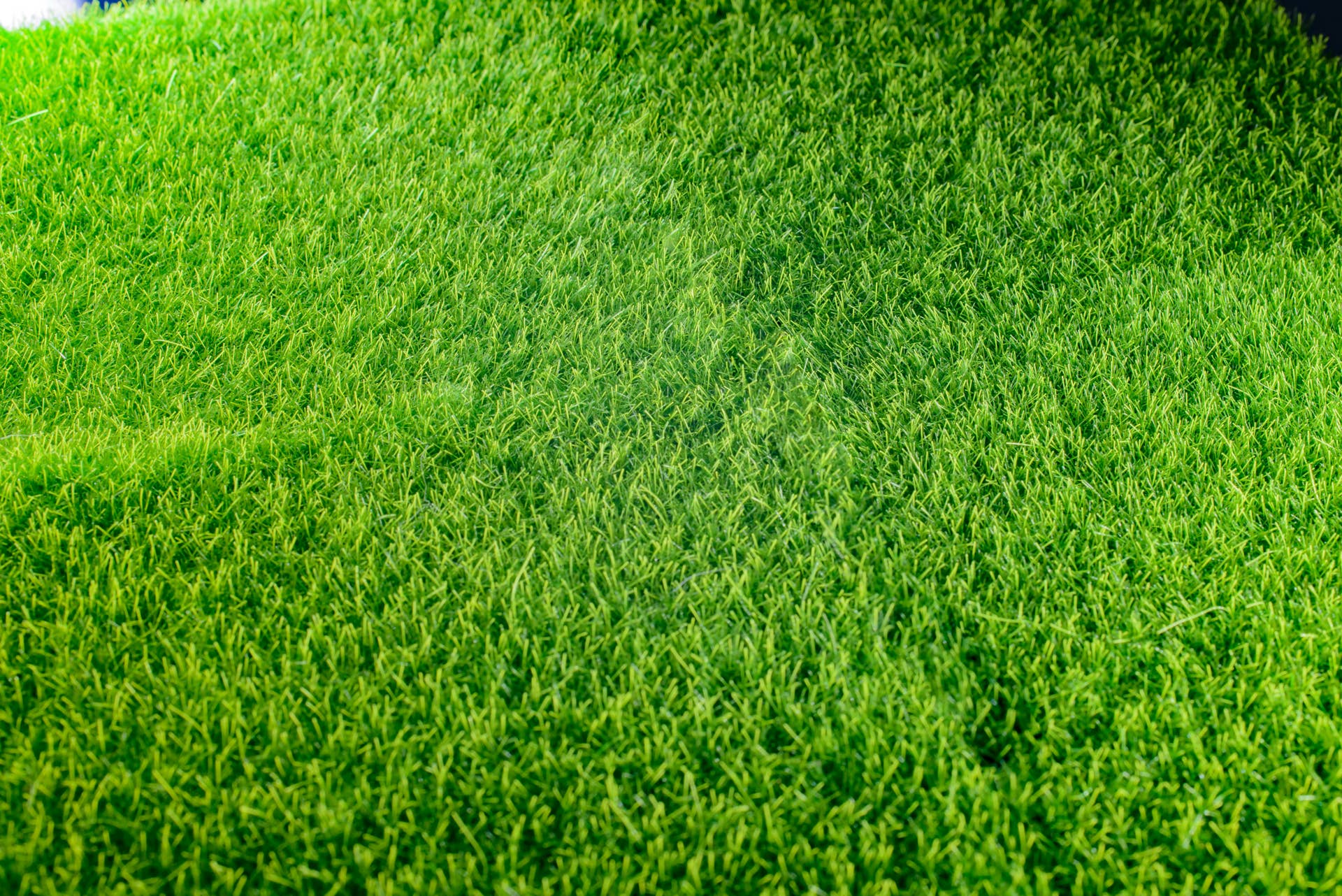 Late Spring Window View Here's When To Start Your Spring Grass Seeding - Men's Journal