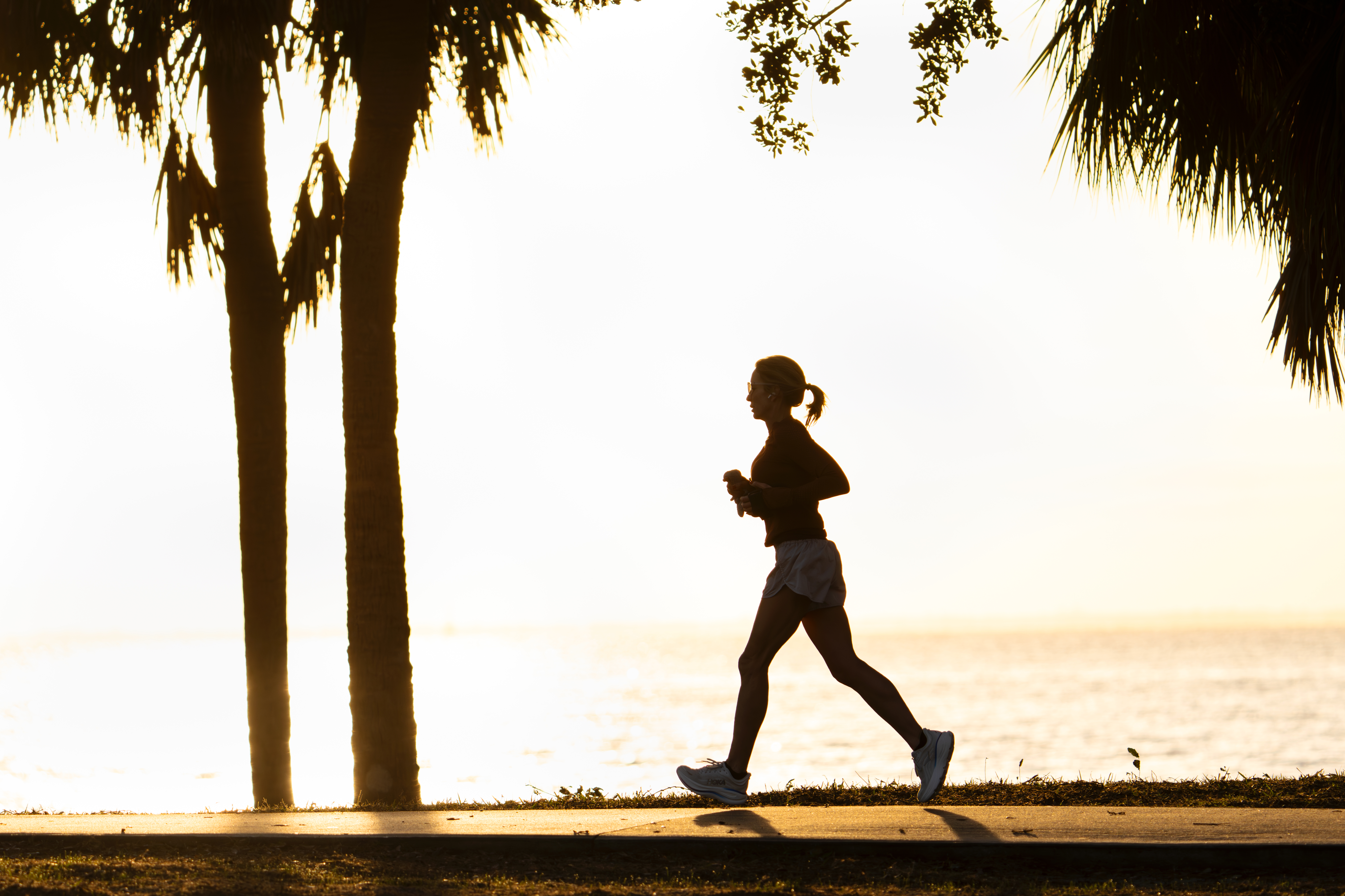 Fitness Goal Setting Worksheet