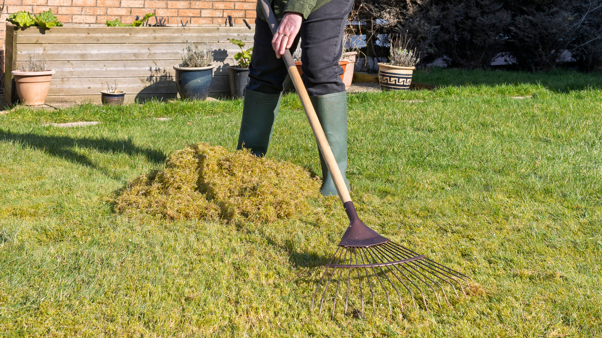 Spring Lawn Aeration: Best Time to Aerate Lawn - Men's Journal