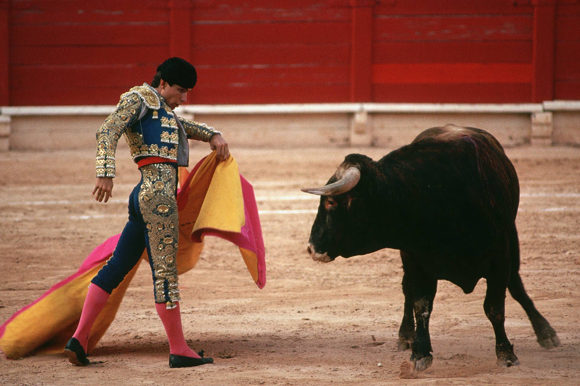 Matador Killed by Bull in Tragic Arena Incident Before Fight - Men's ...