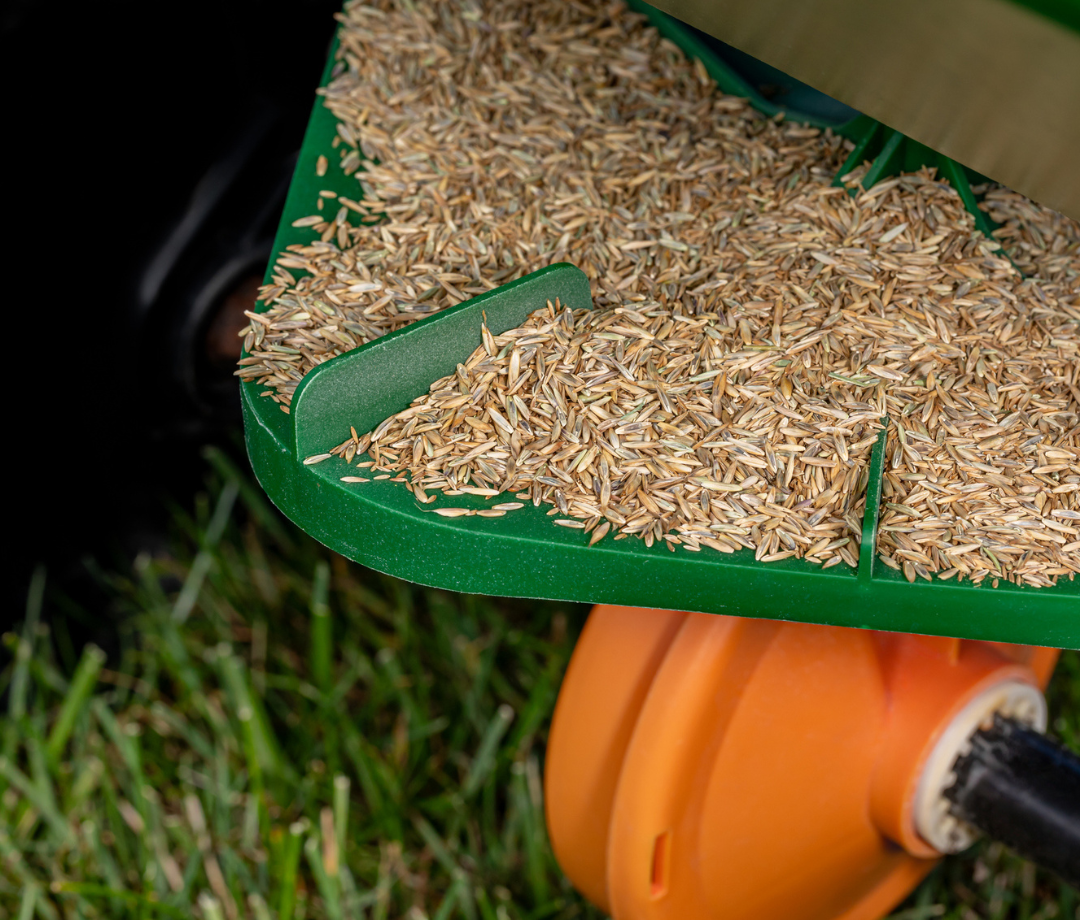 How to Plant Grass Seed: Best Time, Tips, & Mistakes to Avoid - Men's  Journal