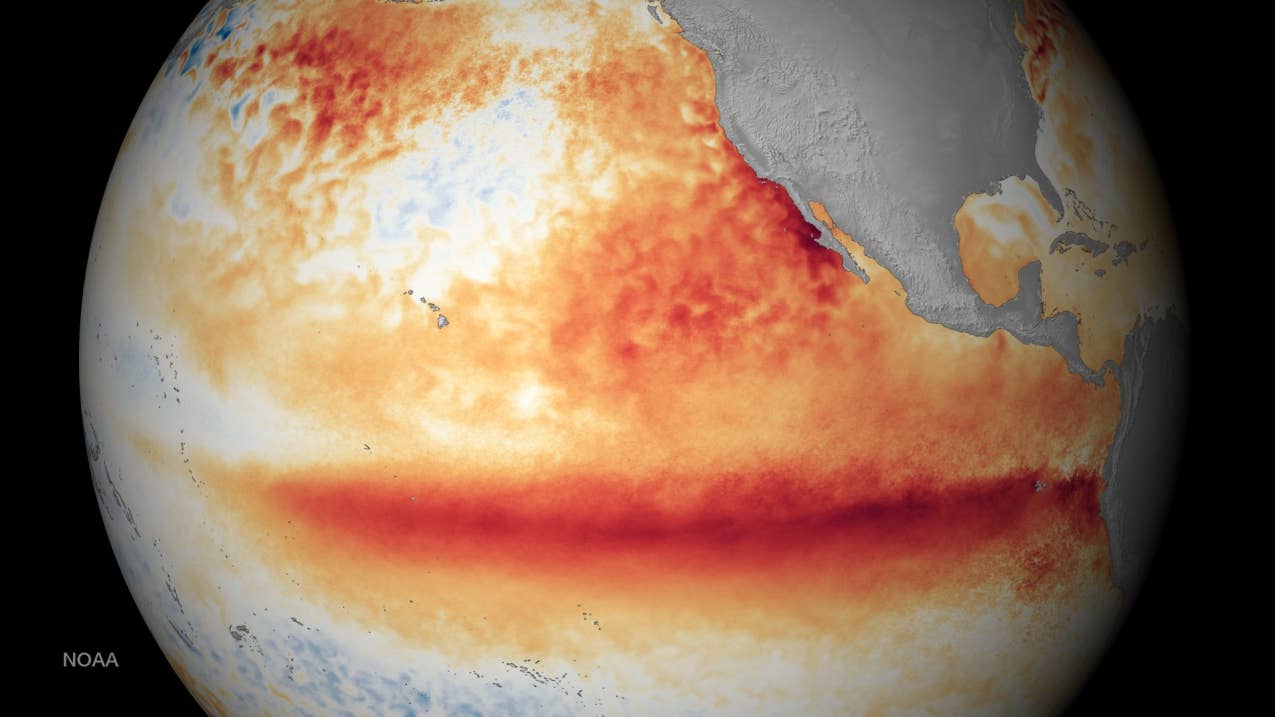 NOAA satellite image showing El Niño sea-surface temperature pattern — file photo