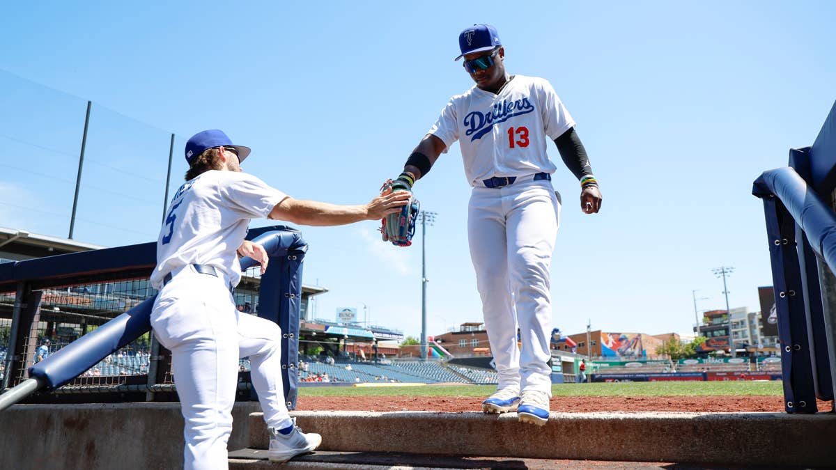 Minor League Team Suspends Dog After Top Prospect Suffers Injury