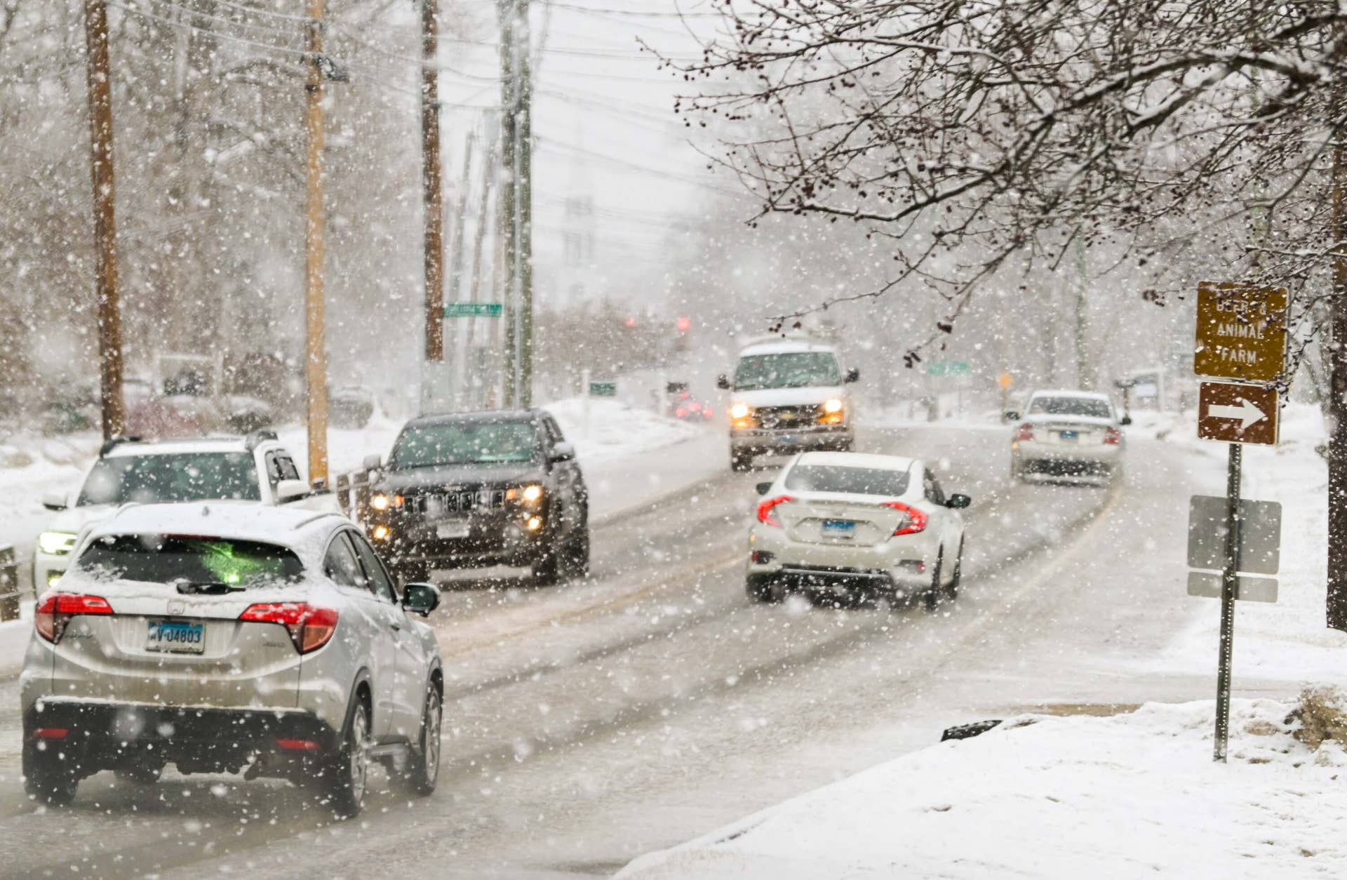 Winter Storm Warning Issued as 2 Feet of 'Heavy' Snow Coming This ...