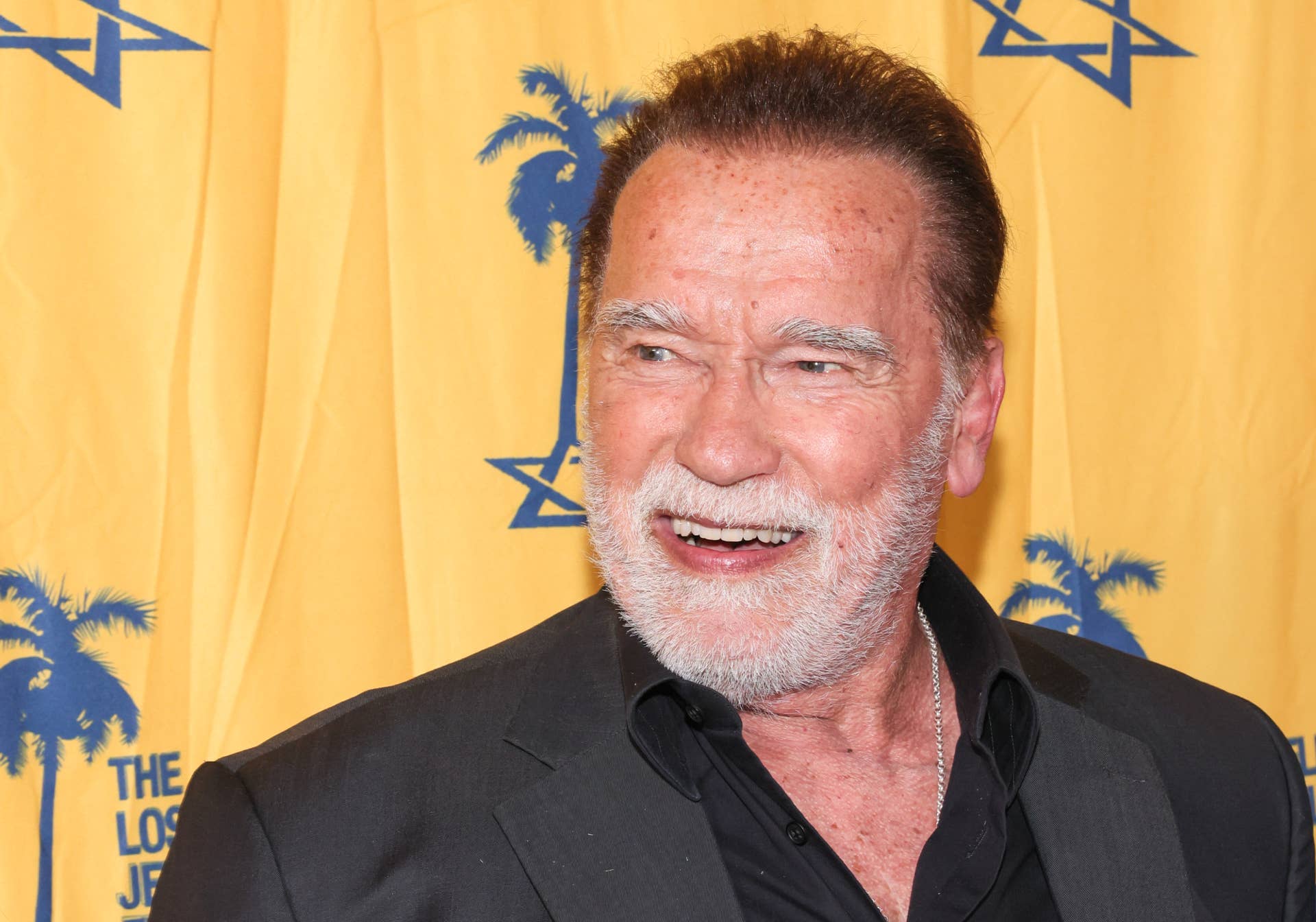 Prime View Magazine Arnold Schwarzenegger and Alan Ritchson Team Up For Surprising New ...