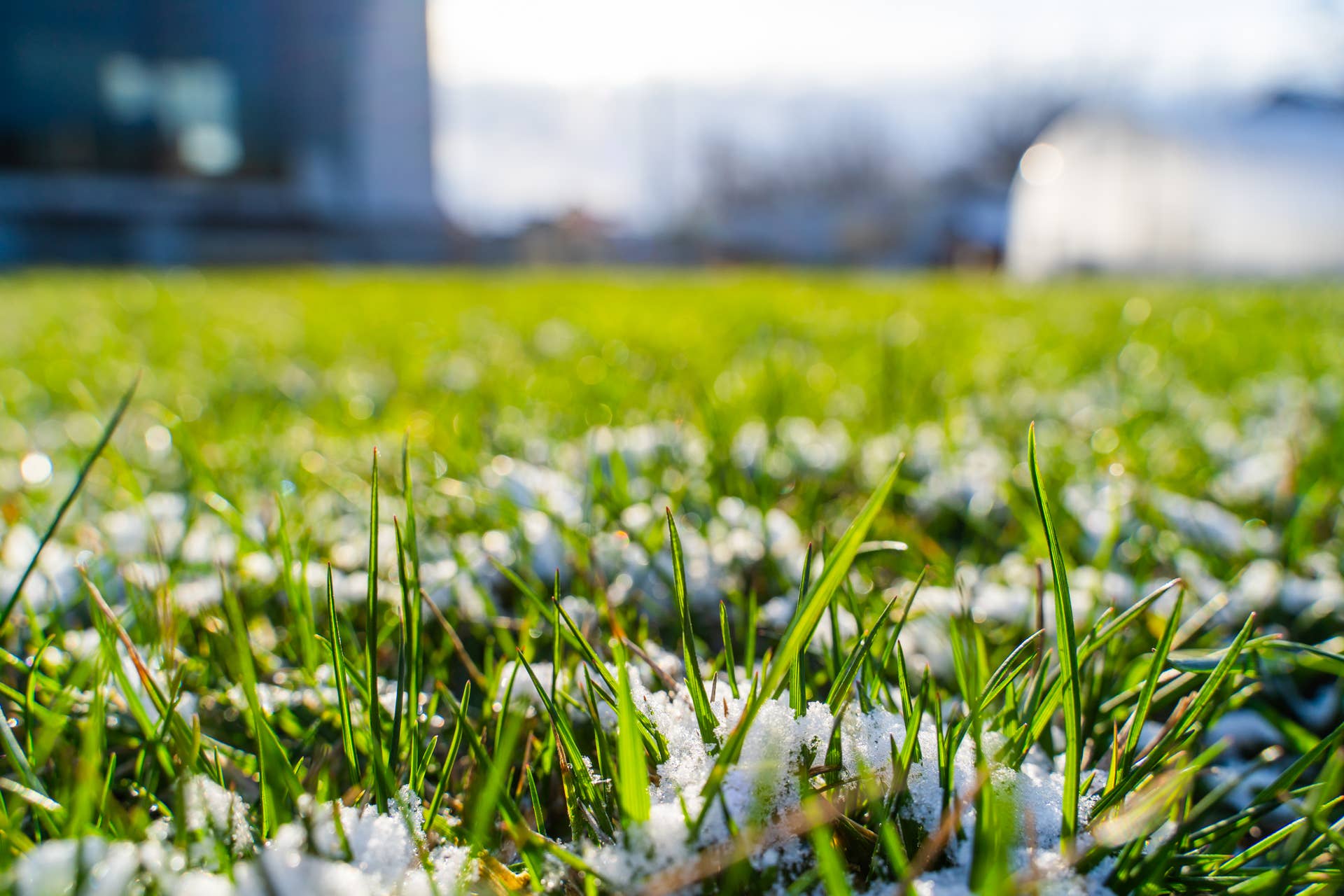 Late Spring Window View Here's When To Start Your Spring Grass Seeding - Men's Journal
