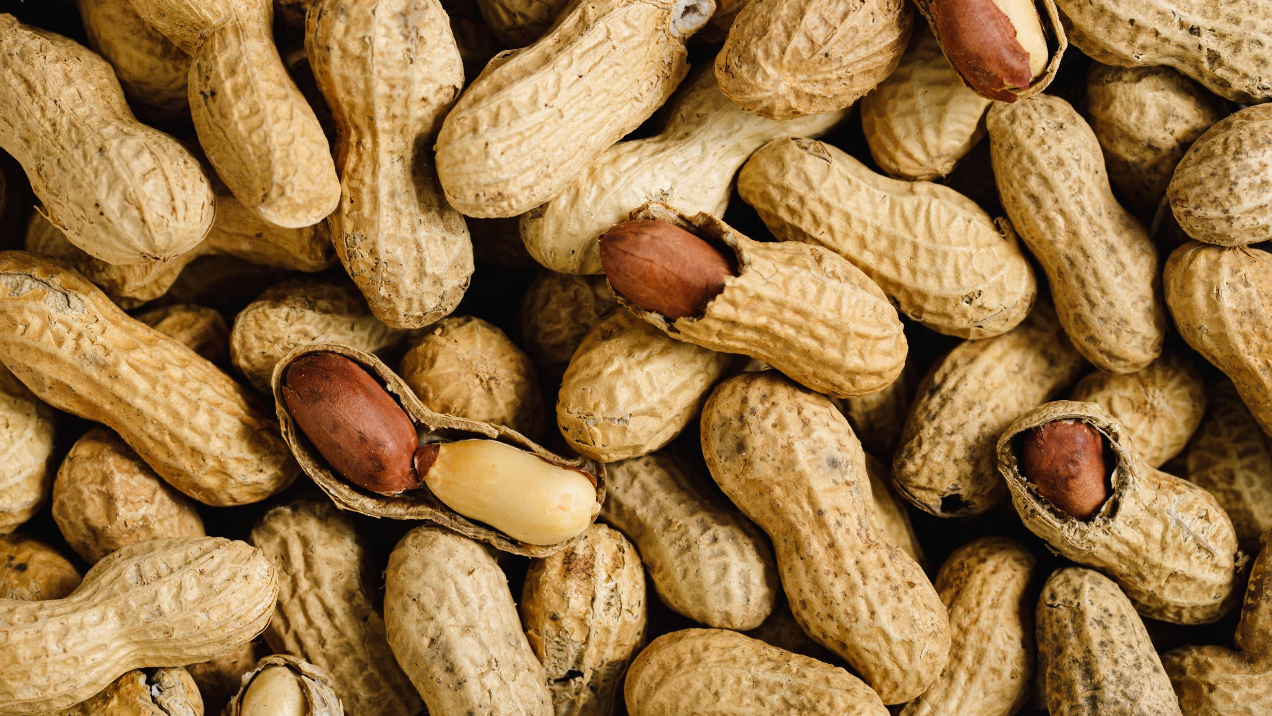 Older Adults Ate Peanuts Every Day and Scientists Found a Surprising ...
