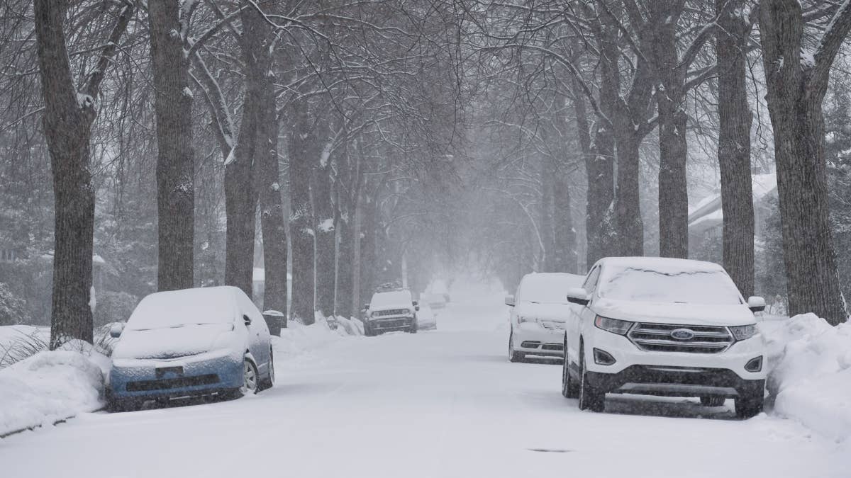 New Forecast Reveals 'Strongest Ever El Niño' Coming This Winter