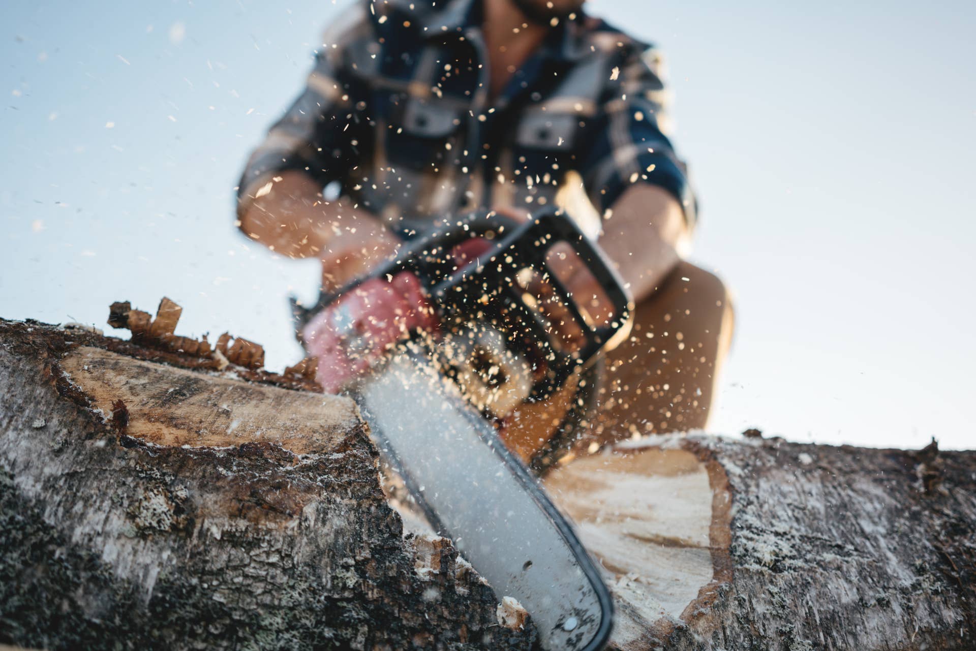 Not Every Homeowner Needs a Heavy-Duty Chainsaw. Here’s How to Decide Between Gas, Battery, and Electric Options