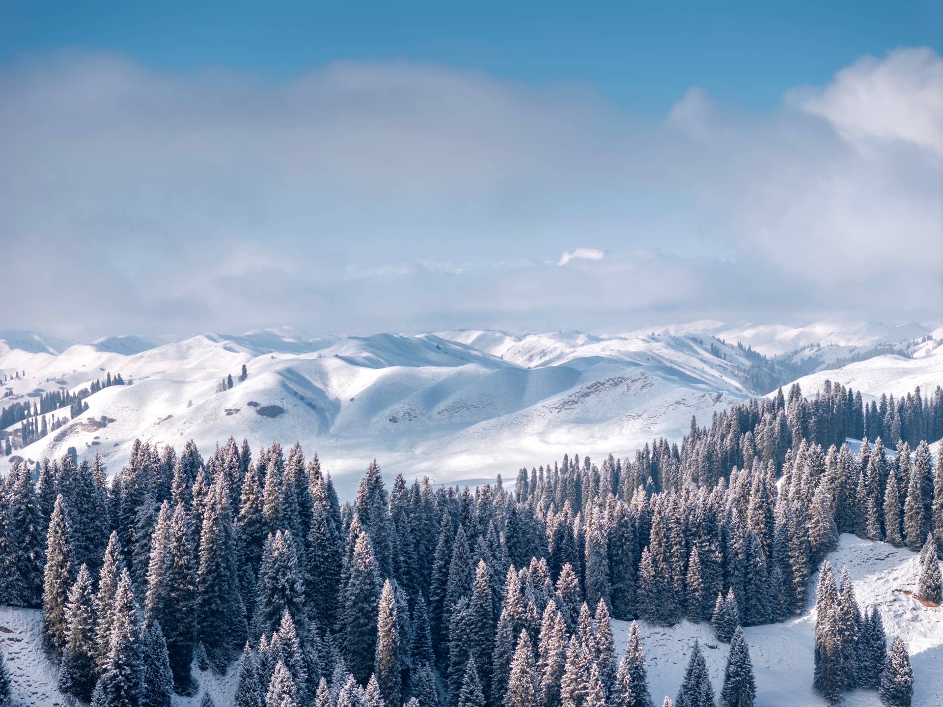New Forecast Shows 45 Inches of Snow, 50mph Winds Coming to Mountains This Week