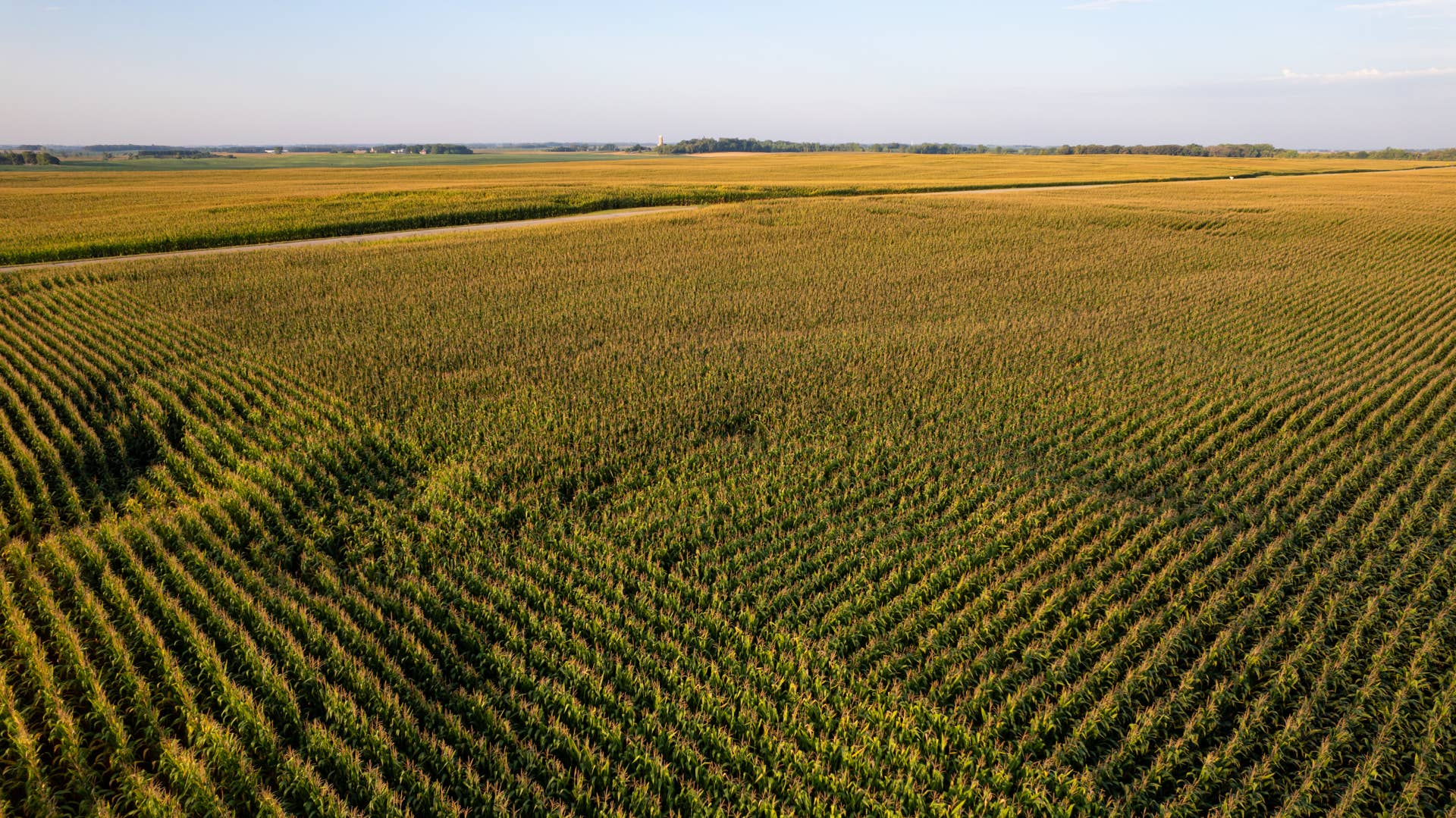 Farmer Finds 11-Foot Piece of Space Debris in Minnesota Cornfield