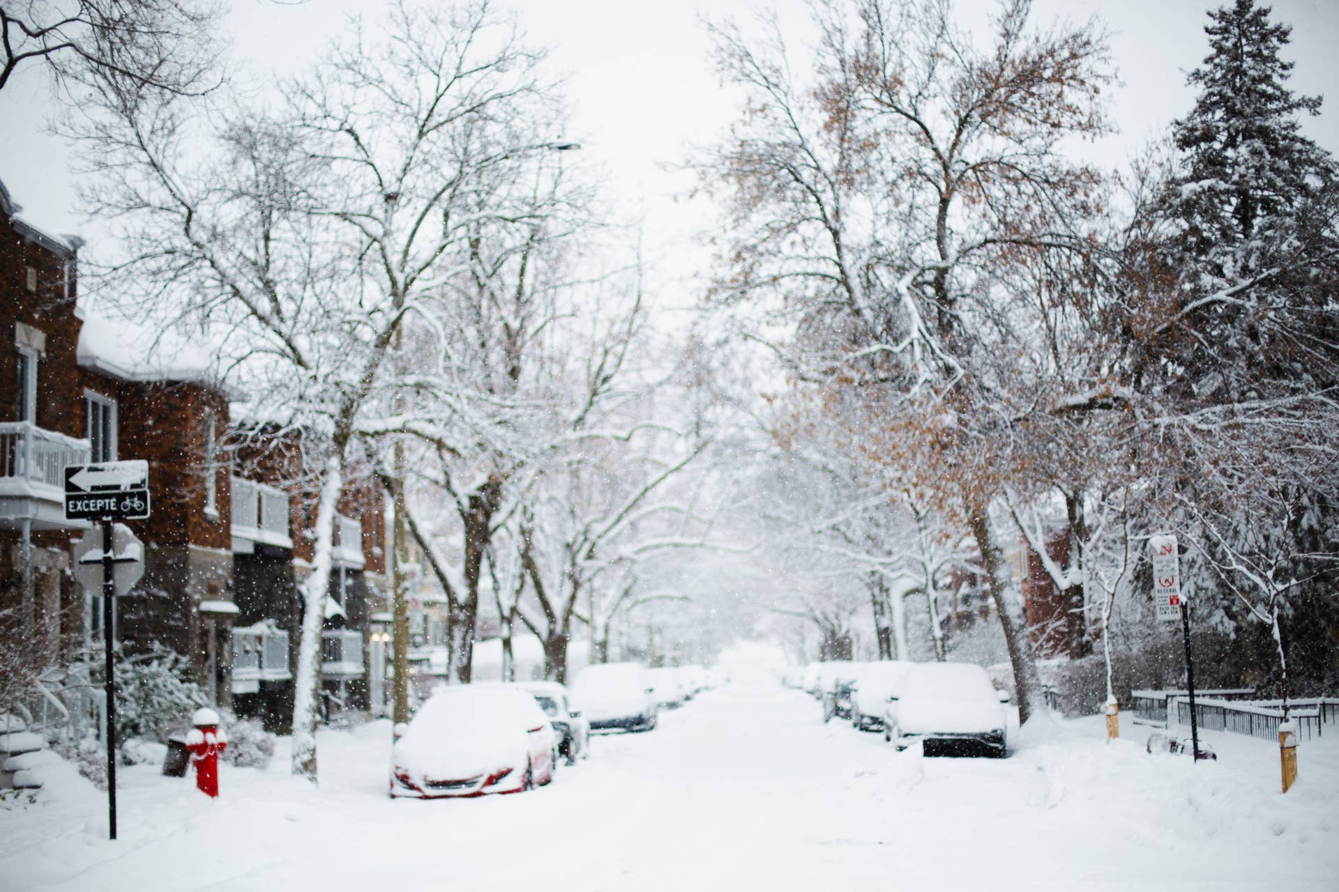Weather Experts Issue Warning About Snow and Ice as El Nino Winter Approaches