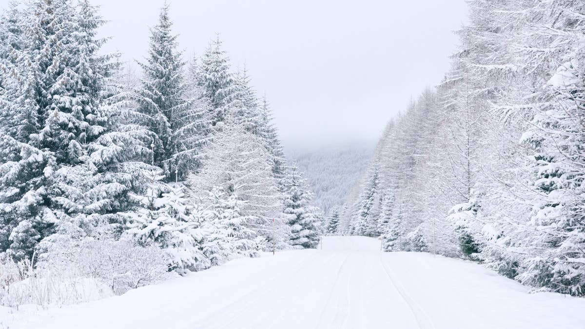 Map Shows 60 Inches of Snow Coming to 3 States in Mountains This Weekend