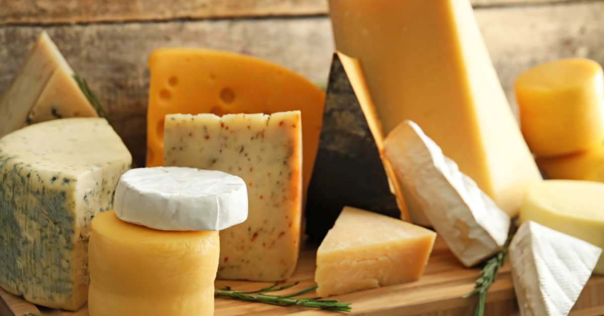 The 15 Best High Protein Cheeses Men