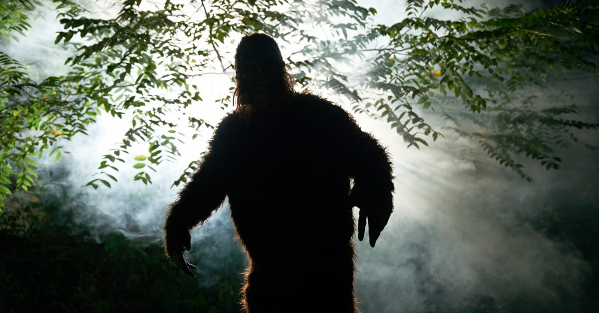 Hiker in Foreign Country Claims - Sasquatch Or Big Foot In Forest