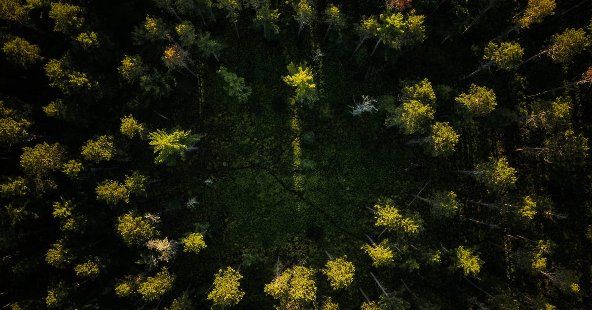 U.S. National Park Service Designates Three New National Scenic Trails