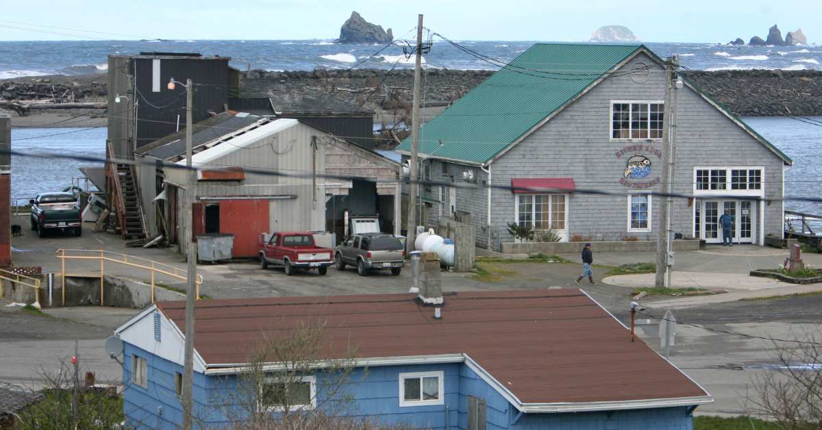 Washington Tsunami 39 Warning 39 Live - Wilderness