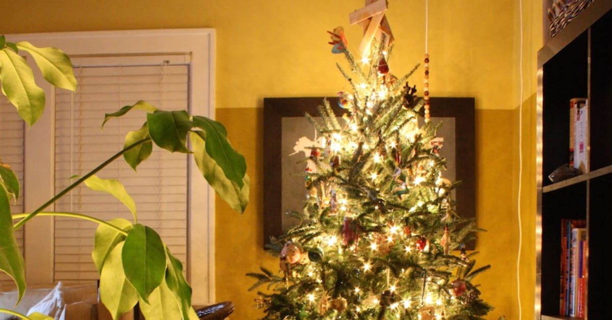 Is it Safe to Leave Christmas Lights on All Night? Men's Journal