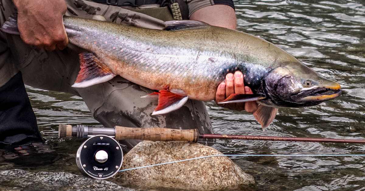 Buying a Fly Fishing Rod Can Feel Like March Madness-How To Select