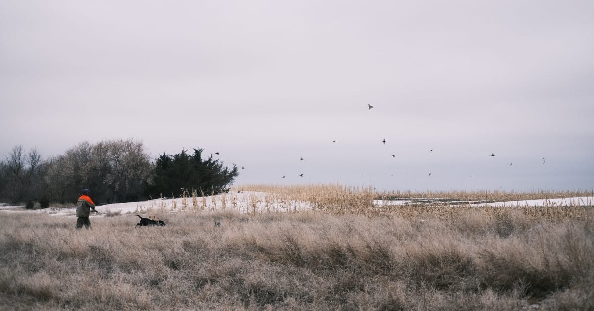 Ice Spearfishing and Pheasant Hunting in South Dakota Men's Journal