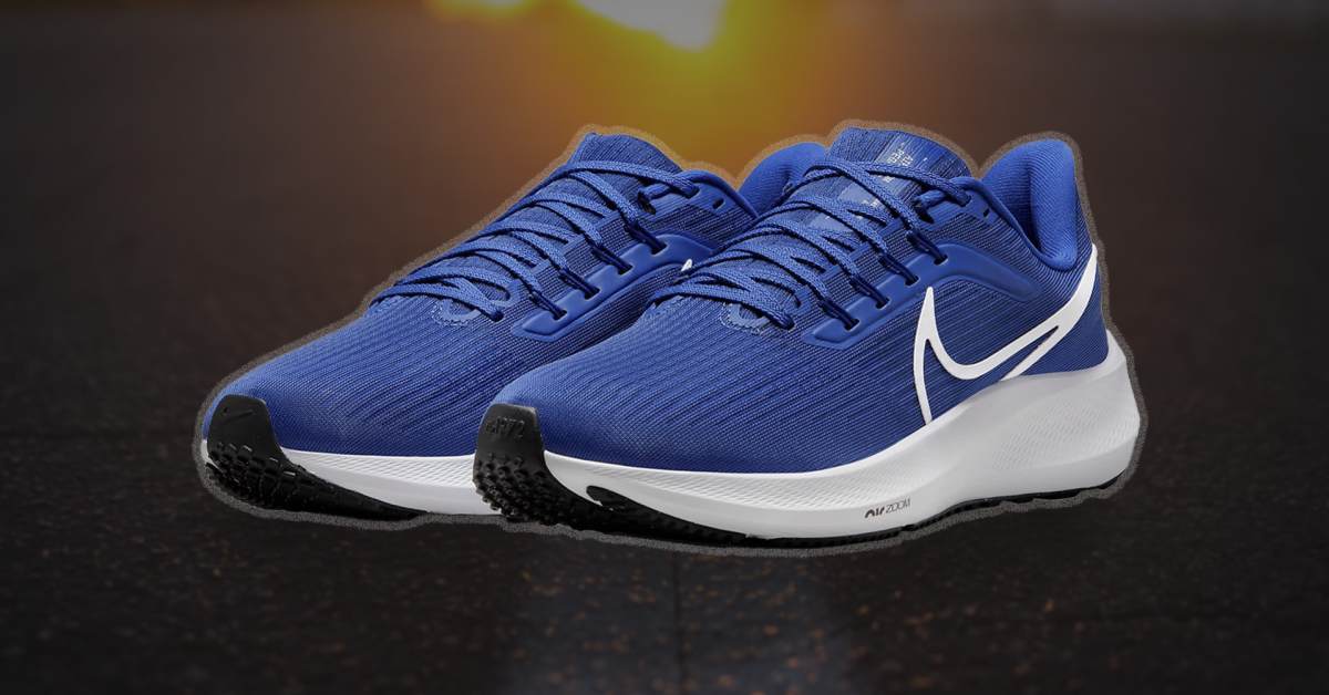 Nike pegasus sale mens deals