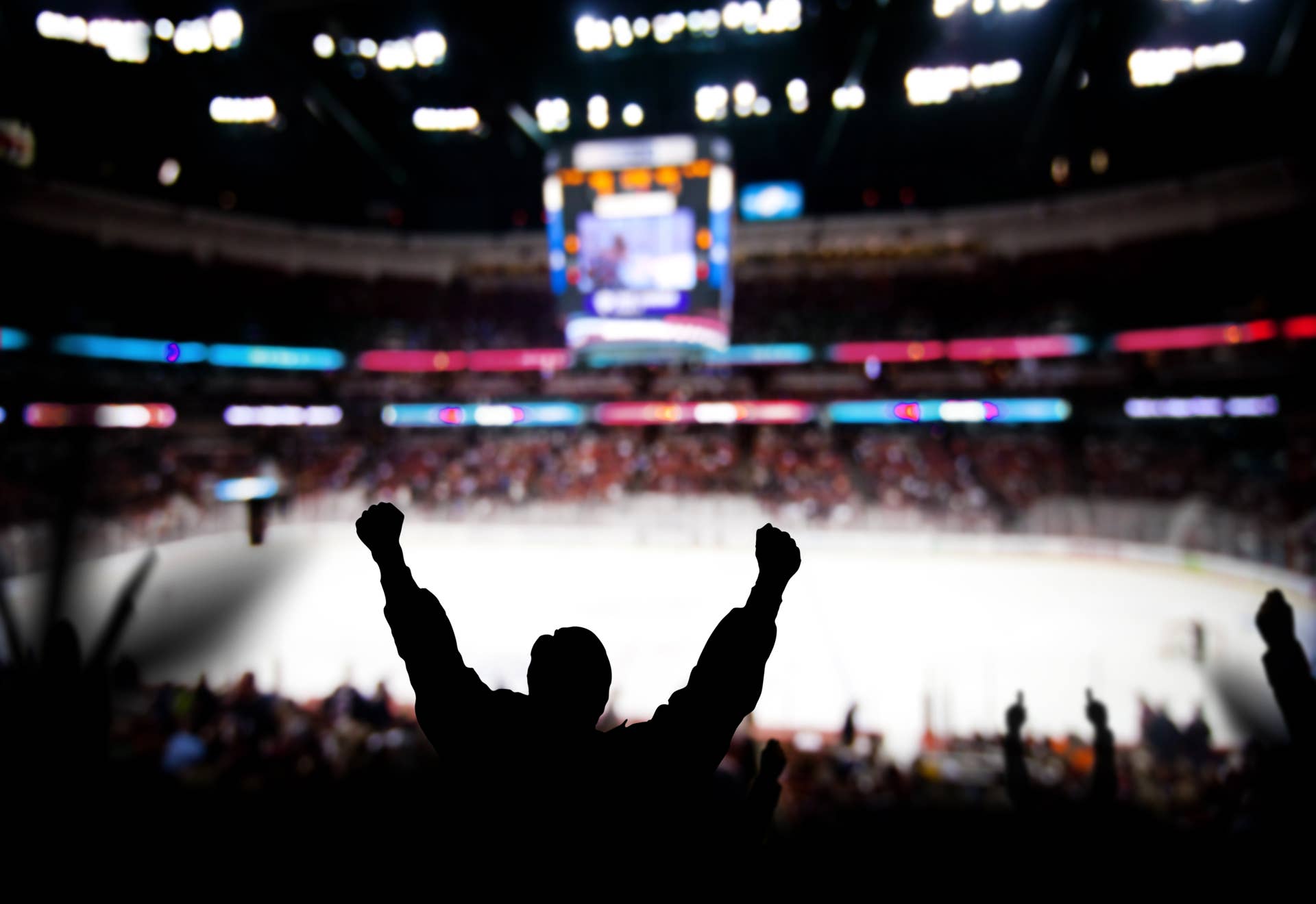 Hockey Fan Who Went Viral Flashing Crowd Breaks Her Silence