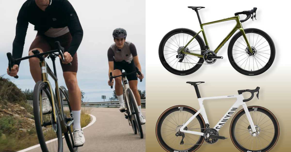 Best road cycles 2019 cheap