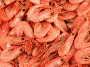 More Frozen Shrimp Recalled Over Possible Radioactive… 