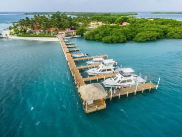 Caribbean Beach Resorts Threatened by Smelly… 